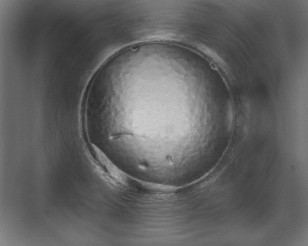 X0000073831423200608170929