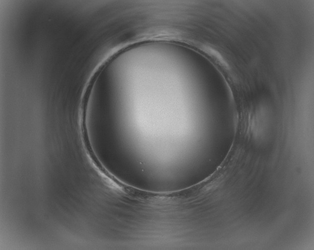 X0000073831424200608170929