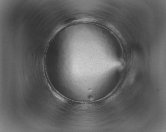 X0000073831425200608170929