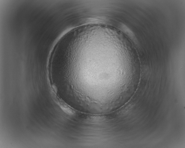 X0000073831427200608170929