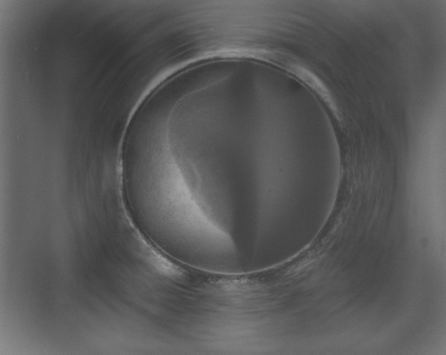 X0000073831428200608170929