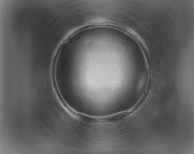 X0000073831429200608170929