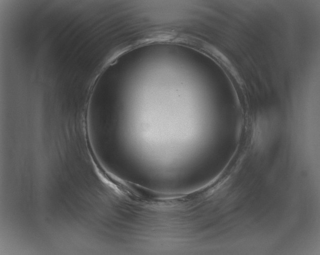 X0000073831433200608170929