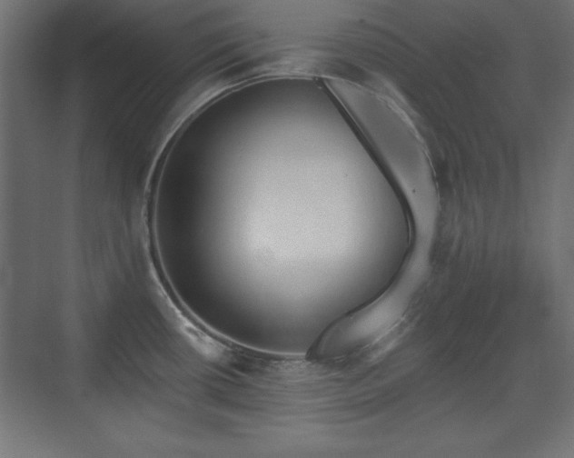 X0000073831434200608170929