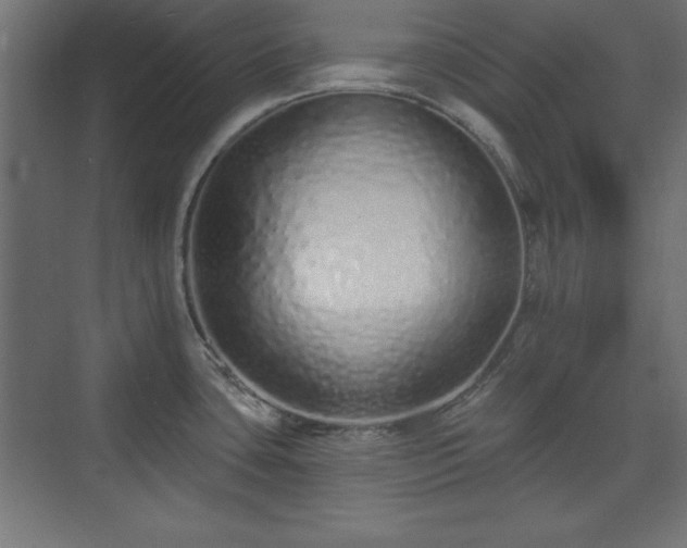 X0000073831435200608170929