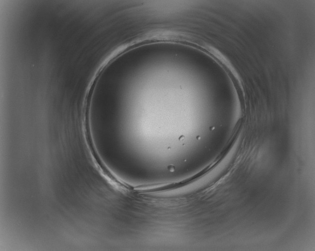 X0000073831437200608170929