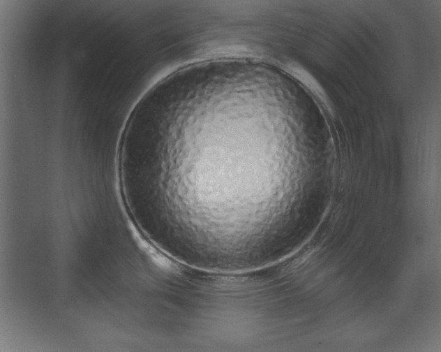 X0000073831439200608170929