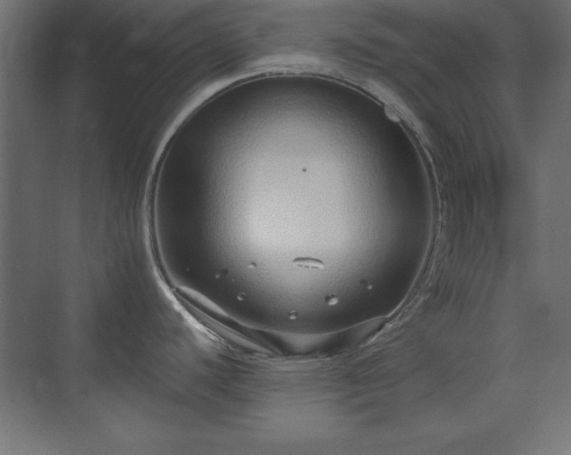 X0000073831440200608170929