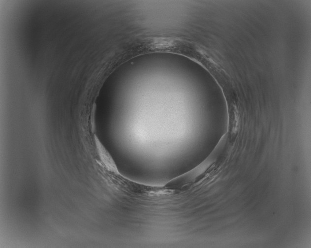 X0000073831441200608170929