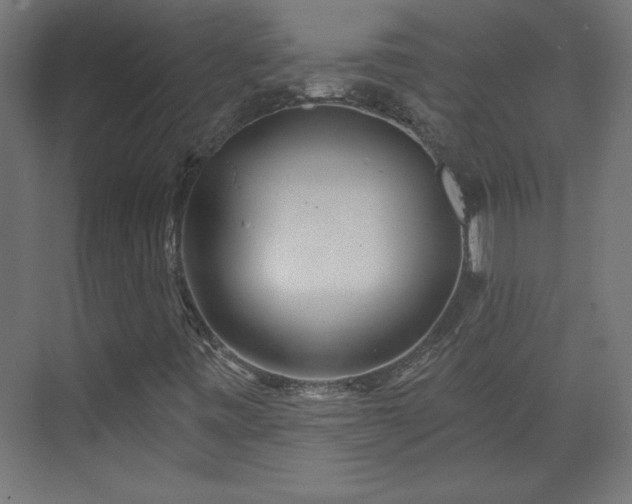 X0000073831443200608170929