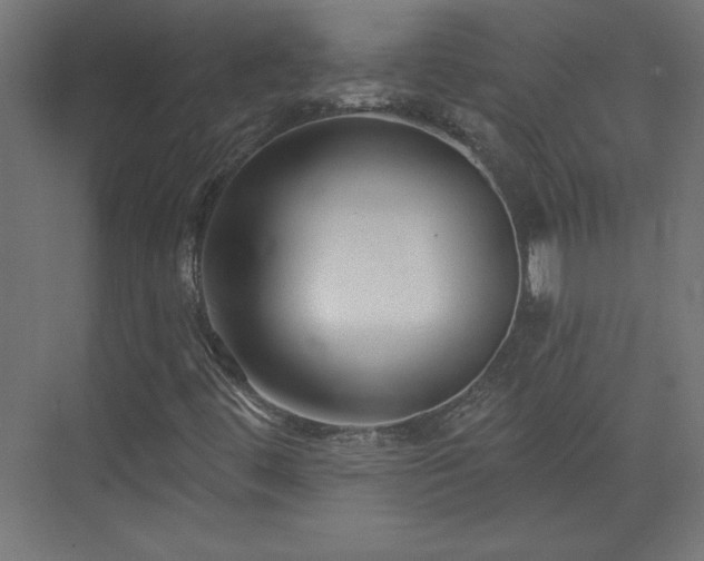 X0000073831444200608170929