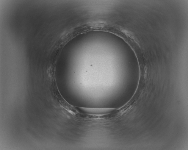 X0000073831445200608170929