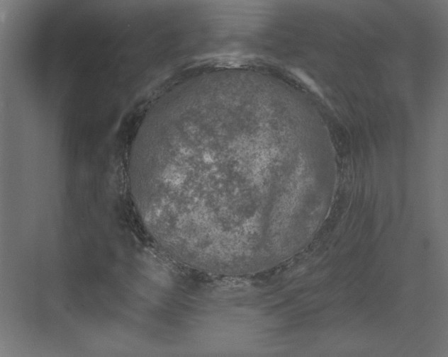 X0000073831446200608170929