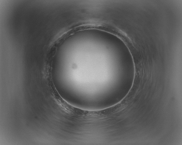 X0000073831448200608170929