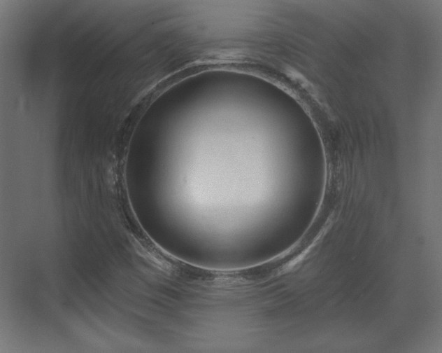 X0000073831449200608170929