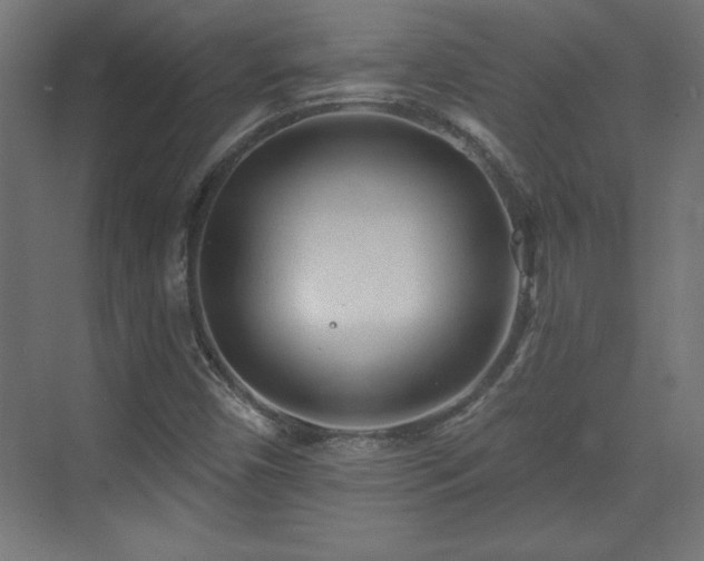 X0000073831450200608170929