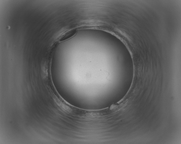 X0000073831451200608170929