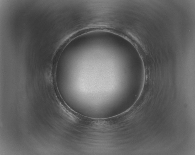 X0000073831452200608170929