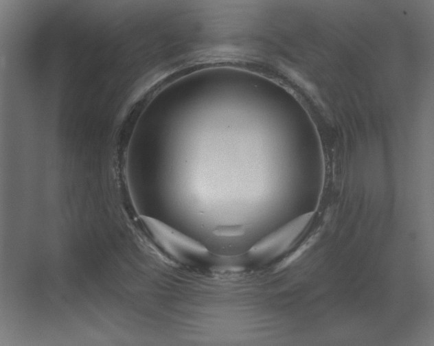 X0000073831453200608170928