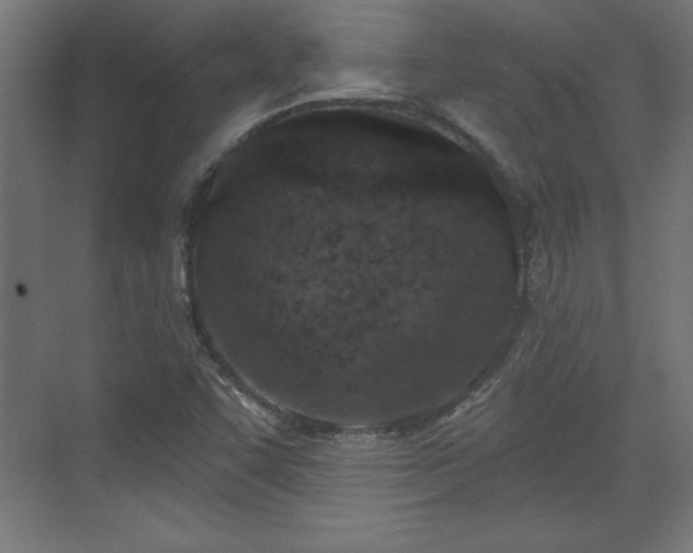 X0000073831455200608170928