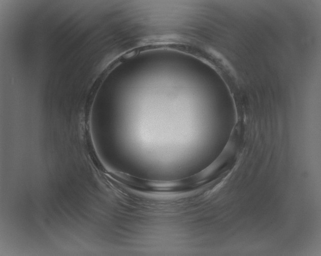 X0000073831457200608170928