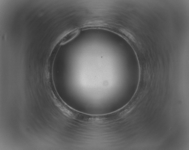 X0000073831458200608170928