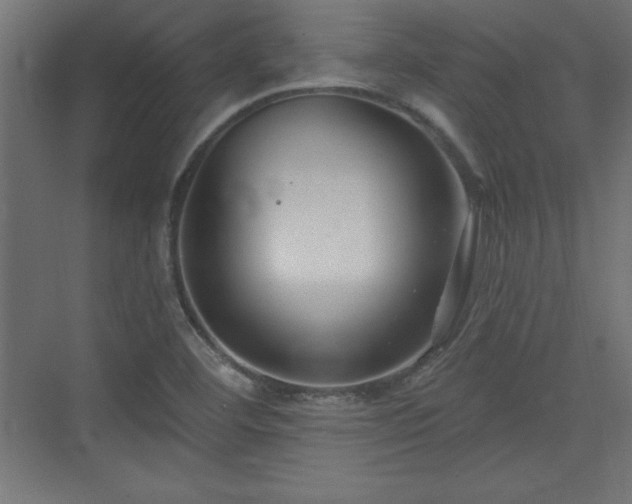 X0000073831460200608170928