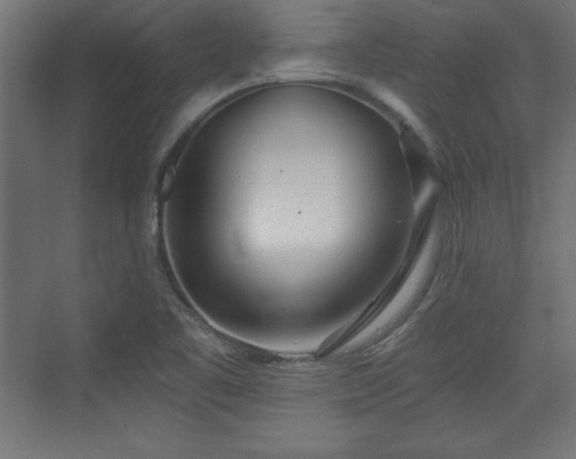 X0000073831461200608170928