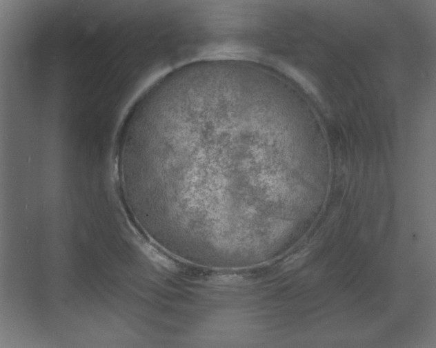 X0000073831462200608170928