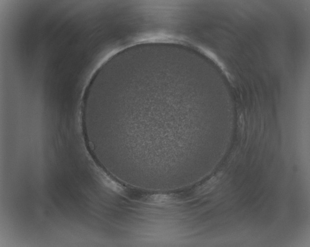 X0000073831463200608170928