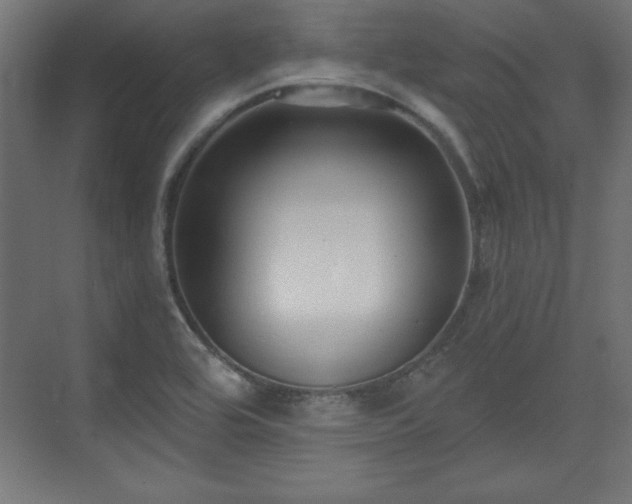 X0000073831464200608170928