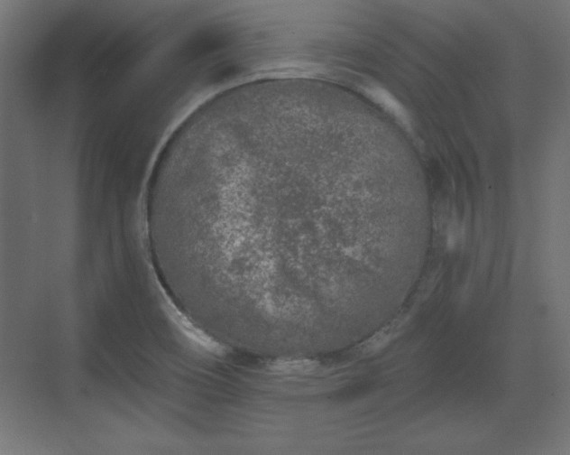 X0000073831466200608170928