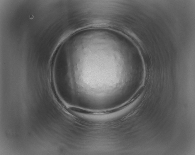 X0000073831467200608170928