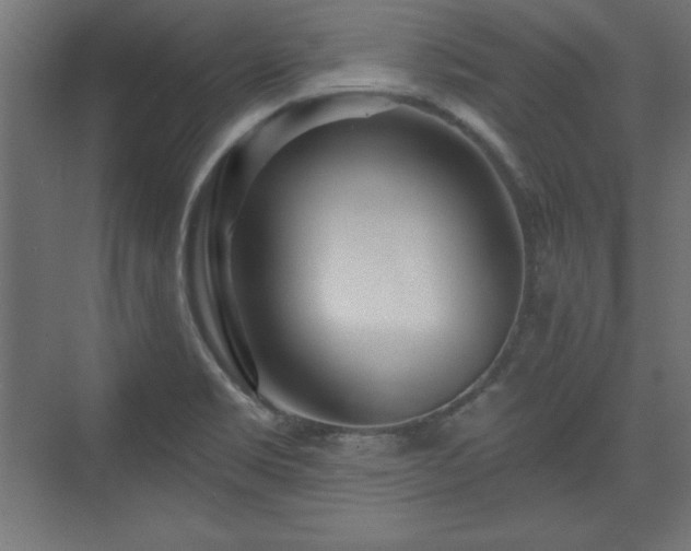 X0000073831469200608170928