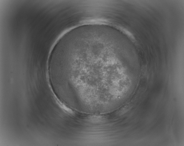 X0000073831470200608170928