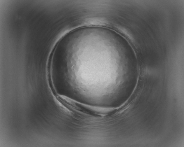 X0000073831471200608170928