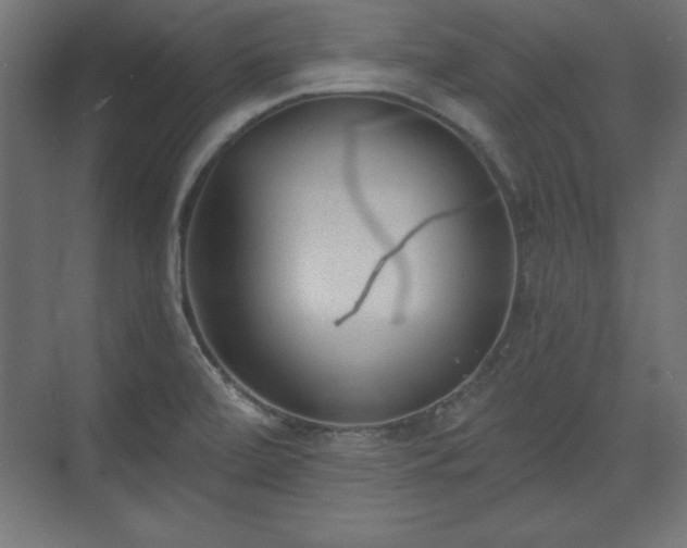 X0000073831472200608170928