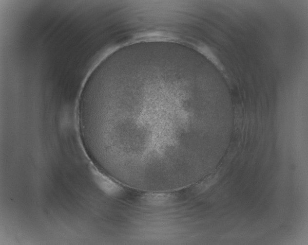 X0000073831474200608170928