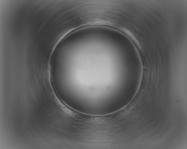 X0000073831476200608170928