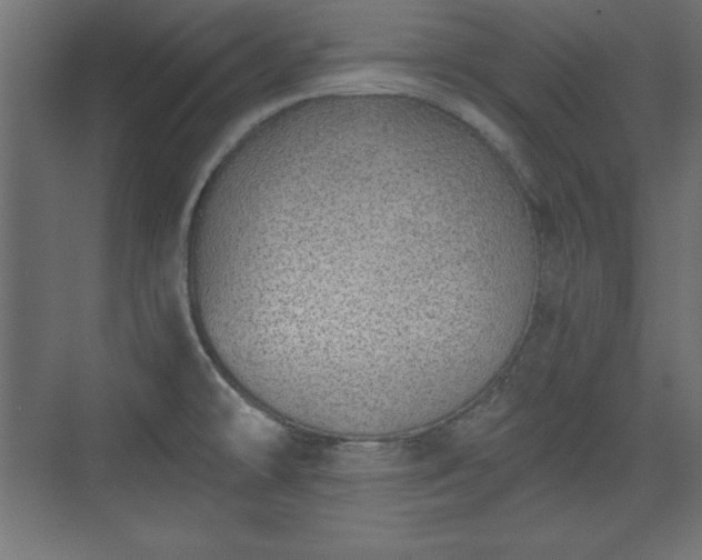 X0000073831478200608170928