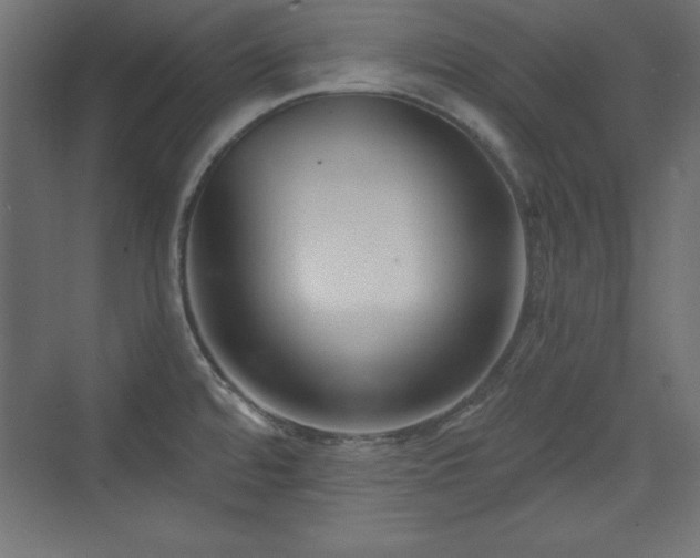 X0000073831480200608170928