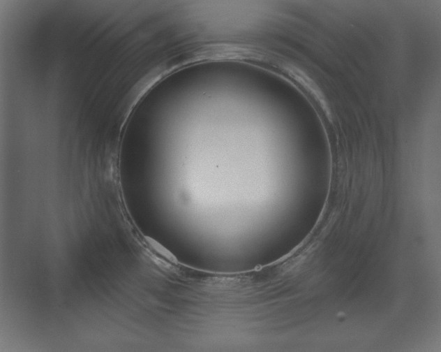 X0000073831481200608170928