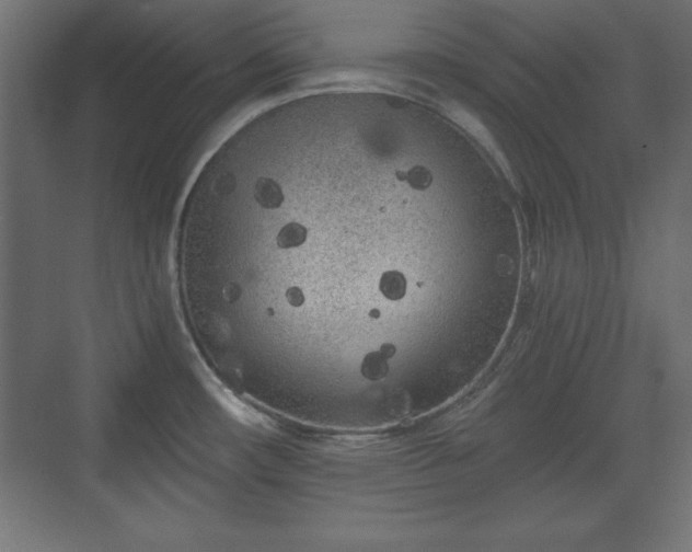 X0000073831482200608170928