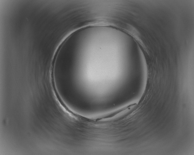 X0000073831484200608170928