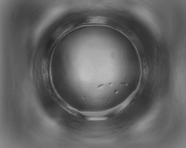 X0000073831487200608170928