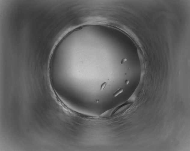 X0000073831488200608170928