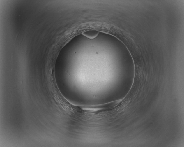 X0000073831489200608170927