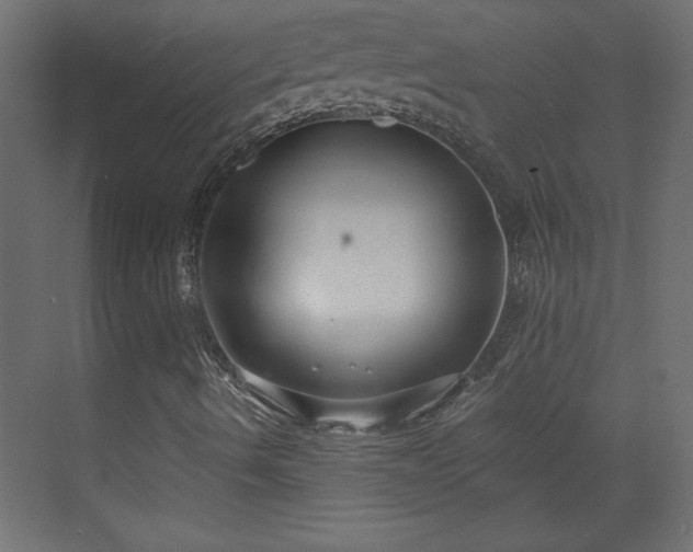 X0000073831490200608170927