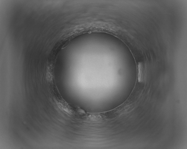 X0000073831491200608170927