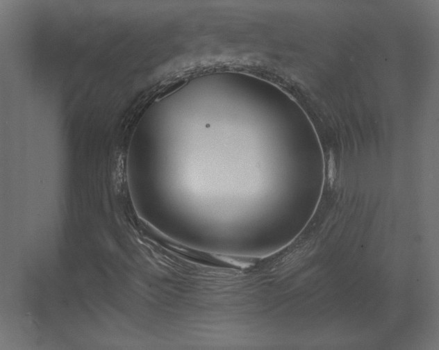 X0000073831492200608170927